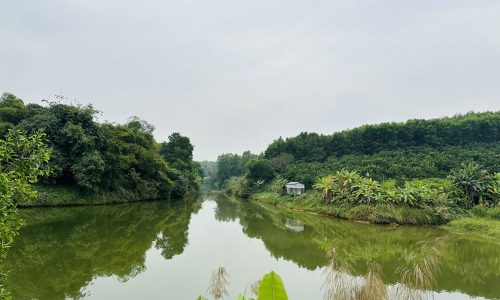 BÁN GẤP LÔ ĐẤT BÁM HỒ CỰC ĐẸP CÓ DIỆN TÍCH GẦN 1200m2 (200m2 ONT) GIÁ RẺ NHẤT KHU VỰC