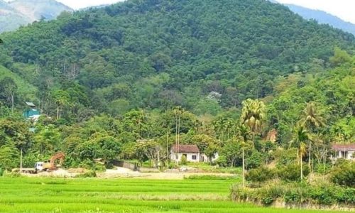 BÁN GẤP LÔ ĐẤT CÓ DT 1155m2 (400m2 ONT) VIEW CÁNH ĐỒNG VÀ NÚI CỰC ĐẸP GIÁ RẺ