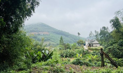 BÁN GẤP LÔ ĐẤT CÓ DT 828m2 (200m2 ONT) GẦN HỒ NGÀNH MÀ GIÁ CHỈ 1,x TỶ