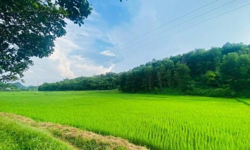 Chủ cần bán gấp lô đất tiềm năng tại Cao Dương Lương Sơn. Tổng diện tích 3438m2 ,400 thổcư