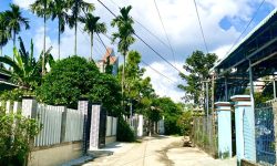 Bán gấp 595m2 đất ở đô thị hoàn toàn trung tâm thị trấn- gần Hội An. Giá chỉ 3 triêu/m2