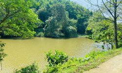 BÁN GẤP LÔ ĐẤT VIEW HỒ CÓ DT 600m2 FULL THỔ CƯ GIÁ RẺ CHỈ NHỈNH 1 TỶ