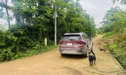 cần bán nhanh 1ha tại lương sơn hòa bình , view toàn cảnh lương sơn