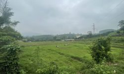 SIÊU PHẨM VIEW CÁNH ĐỒNG SẴN NHÀ Ở CÓ DT 500m2 (150m2 ONT) GIÁ RẺ CHỈ 2,x TỶ