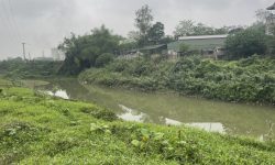 BÁN GẤP LÔ ĐẤT VIEW SÔNG BÙI CÓ DT 8500m2 (540m2 ONT) GIÁ RẺ XUNG QUANH NHIỀU KHU NGHỈ DƯỠNG