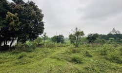 BÁN GẤP LÔ ĐẤT CÓ DT 1800m2 (200m2 ONT) VIEW ĐẸP XUNG QUANH NHIỀU KHU NGHỈ DƯỠNG