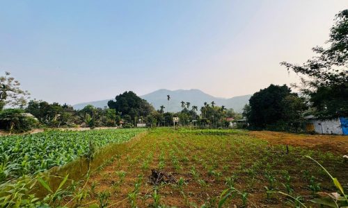 BÁN GẤP LÔ ĐẤT CÓ DT 1119m2 (200m2 ONT) BẰNG PHẲNG XUNG QUANH NHIỀU KHU NGHỈ DƯỠNG