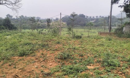 BÁN GẤP LÔ ĐẤT Ở BÙI TRÁM CÓ DT 1018m2 XUNG QUANH NHIỀU KHU NGHỈ DƯỠNG