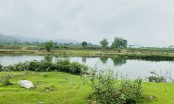 BÁN GẤP LÔ ĐẤT BÁM SÔNG BÔI CÓ DT 1984m2 (180m2 ONT) BÁM SÔNG HƠN 60M CỰC ĐẸP