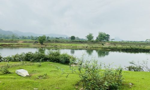 BÁN GẤP LÔ ĐẤT BÁM SÔNG BÔI CÓ DT 1984m2 (180m2 ONT) BÁM SÔNG HƠN 60M CỰC ĐẸP