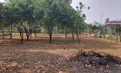 BÁN GẤP LÔ ĐẤT CÓ DT 1200m2 FULL THỔ CƯ CHỈ CÁCH QL21A CHƯA TỚI 1KM