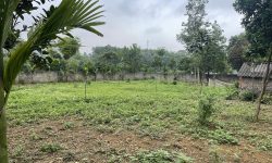 CHỦ GỬI TÁCH BÁN LÔ ĐẤT CÓ DT 1200m2 (200m2 ONT) VỊ TRÍ ĐẸP GIÁ CHỈ 1,xtr/m2