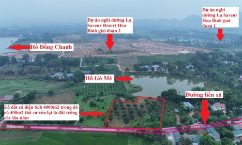 SIÊU PHẨM VIEW HỒ VÀ VIEW CÁNH ĐỒNG BÁM ĐƯỜNG LIÊN XÃ CÓ DT 4000m2 (400mn2 ONT)