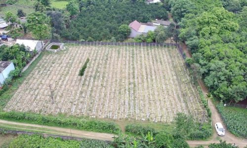 BÁN GẤP LÔ ĐẤT VUÔNG VẮN CÓ DT 3064m2 (1624m2 ONT) GIÁ CHỈ 1,xtr/m2