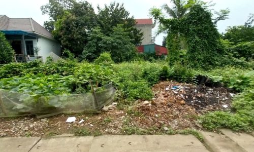 BÁN GẤP LÔ ĐẤT CÓ DT 489m2 (50m2 ONT) CHỈ CÁCH ĐƯỜNG MÒN HCM 300m