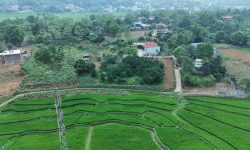 BÁN GẤP LÔ ĐẤT VIEW CÁNH ĐỒNG NÚI ĐÁ CỰC ĐẸP CÓ DT 2000m2 (200m2 ONT) GIÁ CHỈ 1,xtr/m2