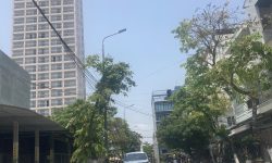 Vị trí siêu đẹp – cực hiếm – Góc 2 mặt tiền Bùi Thị Xuân chỉ 13.99ty