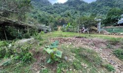 Bán gấp lô đất có diện tích 676,8m2 trong đó có 82,8m2 thổ cư, còn lại là đất trồng cây lâu năm