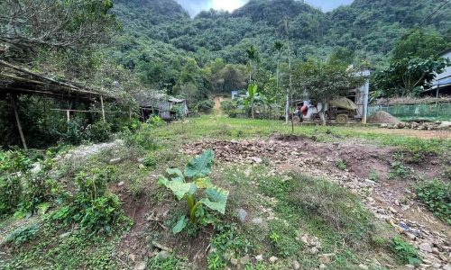 Bán gấp lô đất có diện tích 676,8m2 trong đó có 82,8m2 thổ cư, còn lại là đất trồng cây lâu năm