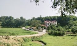 Bán gấp lô đất có diện tích 6250m2 trong đó có 130m2 thổ cư 1200m2 đất trồng cây lâu năm còn lại là rừng sản xuất