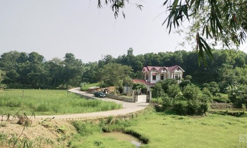 Bán gấp lô đất có diện tích 6250m2 trong đó có 130m2 thổ cư 1200m2 đất trồng cây lâu năm còn lại là rừng sản xuất