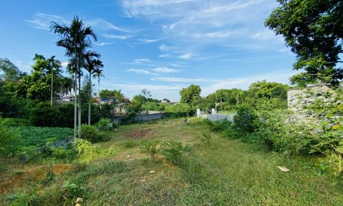 Bán gấp lô đất có diện tích 1453,2m2 trong đó có 400m2 thổ cư còn lại là đất trồng cây lâu năm