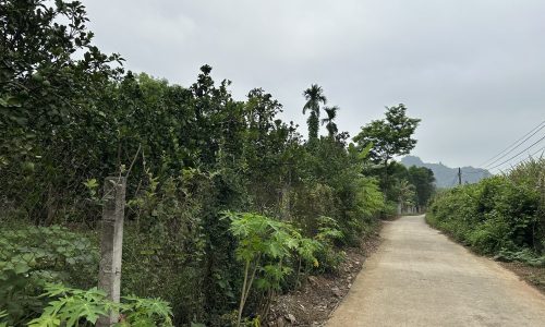 Bán gấp lô đất có diện tích 2792m2 trong đó có 400m2 thổ cư còn lại đất trồng cây lâu năm