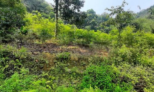 BÁN GÁP LÔ ĐẤT DT 5,2HA CÓ 750m2 THỔ CƯ GIÁ CỰC RẺ ĐỂ ĐẦU TƯ