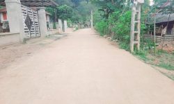 CĐT cần bán lô đất gần 200m, hơn 100tr, Yên Nghiệp, Lạc Sơn, Hoà Bình. lh ms Thảo 0904652293