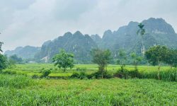 Lô đất 1380m có 400m ont view cánh đồng, núi đá tại Lương sơn