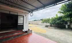 BÁN GÁP LÔ ĐẤT DT 1500m2 VIEW CÁNH ĐỒNG CỰC ĐẸP SẴN NHÀ VƯỜN GIÁ CHỈ 1,xtr/m2