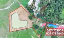 BÁN GÁP LÔ ĐẤT DT 3000m2 (100m2 ONT) VIEW CÁNH ĐỒNG CỰC ĐẸP SẴN NHÀ VƯỜN