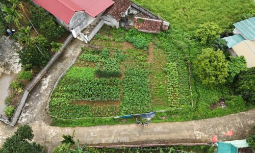 BÁN GẤP LÔ ĐẤT CÓ DIỆN TÍCH 594m2 TRONG ĐÓ CÓ 100M2 THỔ CƯ ,CÒN LẠI LÀ CÂY LÂU NĂM