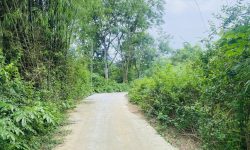 bán lô đất có diện tích 2000m2 trong đó có 200m2 thổ cư, còn lại là cây lâu năm