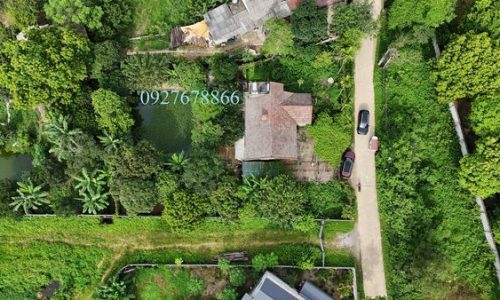 Bán gấp lô đất có diện tích 1460m2 trong đó có 400m2 thổ cư còn lại là đất trồng câu lâu năm