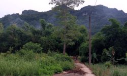 Bán gấp lô đất có diện tích 400m2 full thổ cư