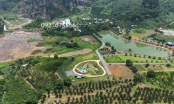 Bán gấp lô đất có diện tích 6200m2 trong đó có 200m2 thổ cư, còn lại là cây lâu năm