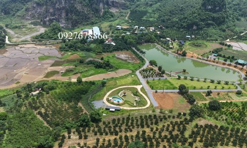 Bán gấp lô đất có diện tích 6200m2 trong đó có 200m2 thổ cư, còn lại là cây lâu năm