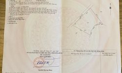 Bán gấp lô đất có diện tích 3728m2 trong đó có 285,7 thổ cư còn lại là đất trồng cây lâu năm