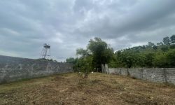 Bán gấp siêu phẩm bám hồ có diện tích 481,3m2 trong đó có 50m2 thổ cư còn lại là đất vườn