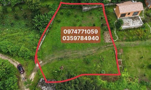 BÁN GẤP LÔ ĐẤT CÓ DT 1411m2 ( 100m2 ONT) CẠNH HÀNG XÓM HOMSTAY NGHỈ DƯỠNG