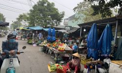 Chính chủ bán nhanh lô đất khu phố chợ Điện Thắng Trung (Chợ Thanh Quýt).