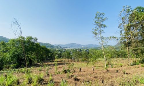 Bán gấp lô đất có diện tích 2400m2 trong đó có 300m2 thổ cư còn lại là đất trồng cây lâu năm