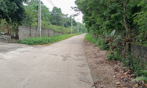 Bán gấp lô đất có diện tích 2000m2 trong đó có 100m2 thổ cư còn lại là đất trồng cây lâu năm