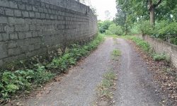 Bán gấp lô đất có diện tích 2852m2 trong đó có 200m2 thổ cư còn lại là đất trồng cây lâu năm