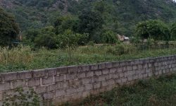 Bán gấp lô đất có diện tích 3323m2 trong đó có 400m2 thổ cư còn lại là đất trồng câu lâu năm