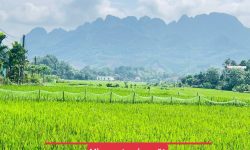 BÁN GẤP LÔ ĐẤT CÓ DT 676m2 VIEW CÁNH ĐỒNG CỰC ĐẸP GIÁ CHỈ VÀI TRĂM TRIỆU