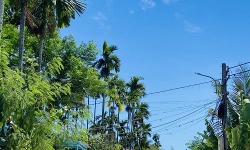 Lô đất biệt thự ven sông thoáng mát – Gần Công Ty May Huy Hoàng – kề bên Hội AN.