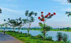 ĐẤT Ở VỀ HƯU –  VIEW THIÊN NHIÊN, VIEW SÔNG – TIẾP GIÁP VỚI 3 CON SÔNG. DIỆN TÍCH KHỦNG LÀM NHÀ VƯỜN BIỆT THỰ