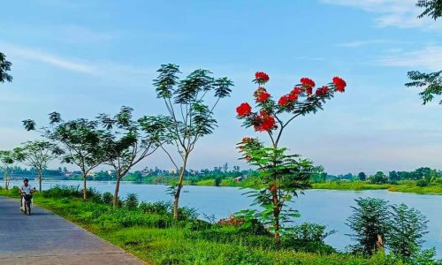 ĐẤT Ở VỀ HƯU –  VIEW THIÊN NHIÊN, VIEW SÔNG – TIẾP GIÁP VỚI 3 CON SÔNG. DIỆN TÍCH KHỦNG LÀM NHÀ VƯỜN BIỆT THỰ